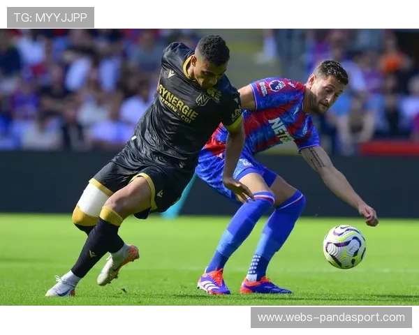 梅斯2-0取胜南特,延续球队近期连胜势头 梅斯2-0取胜南特,延续球队近期连胜势头